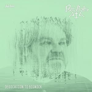 Dedication to Bignick