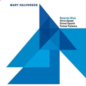 Reverse Blue (feat. Chris Speed, Eivind Opsvik & Tomas Fujiwara)