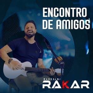 Encontro de Amigos ao Vivo (Ao Vivo)