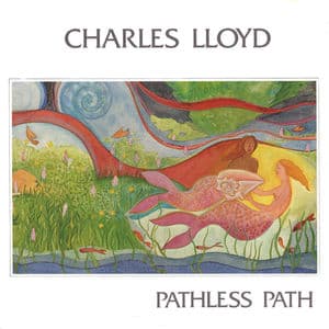 Pathless Path