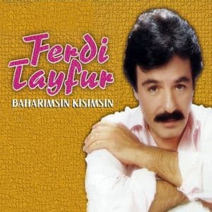 Baharımsın Kışımsın