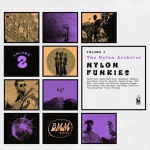 Nylon Archives Vol. 2: Nylon Funkies