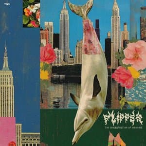 Flipper: Sghubu Indie Flips