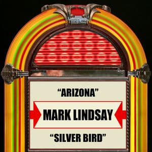 Arizona / Silver Bird (Rerecorded Version)