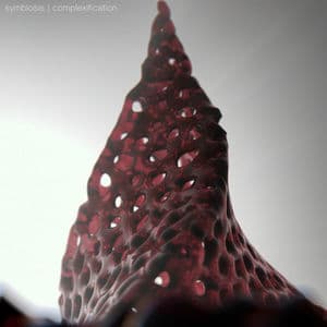 Symbiosis / Complexification