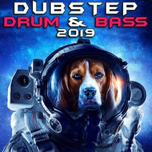 Dubstep Drum & Bass 2019