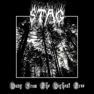 Hung from the Highest Tree