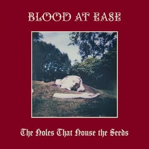 The Holes That House The Seeds