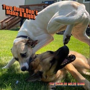 Two Dogs Dont Make A Right