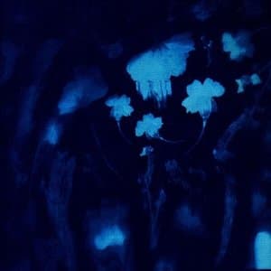Cyanotype