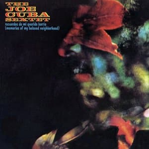 Recuerdos De Mi Querido Barrio (Memories Of My Beloved Neighborhood)