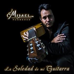 La Soledad De Mi Guitarra
