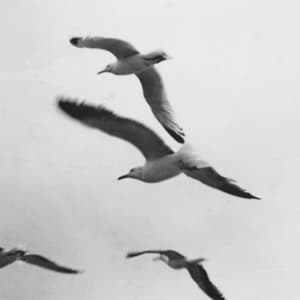 As It Is Now, As It Was Then