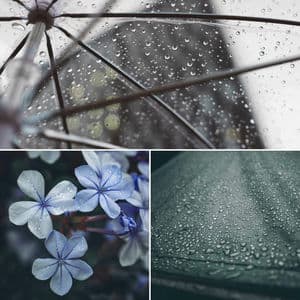 Quartet Jazz - Background for Cool May Nights