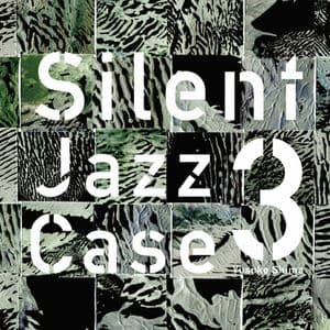 Silent Jazz Case 3