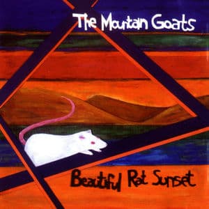 Beautiful Rat Sunset