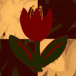 To Keep the World We Know : A Tribute to Bruce Cockburn