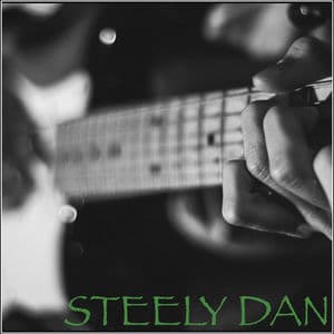 Steely Dan - WKPT FM Broadcast The Nissan Pavillion Bristow VA 21st July 1996 Part Two.