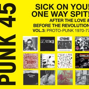 Soul Jazz Records presents PUNK 45: Sick On You! One Way Spit! After the Love & Before the Revolution Vol.3: Proto-Punk 1969-77