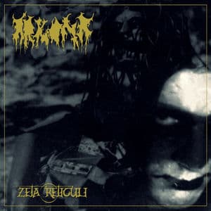 Zeta Reticuli (A Tale About Hatred and Total Enslavement)