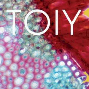 TOIY