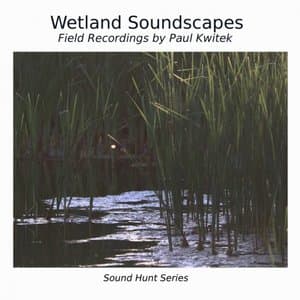 Wetlands Soundscapes