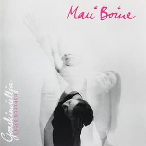 Goaskinviellja [eagle Brother]