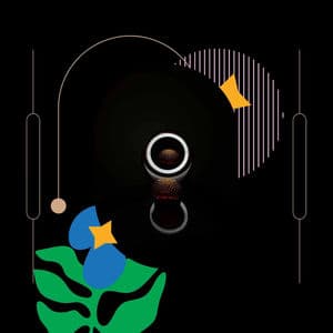 Background Music for Social Feelings