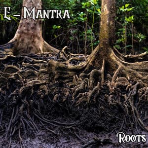 Roots