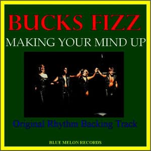 Making Your Mind Up (Original Rhythm Backing Track)