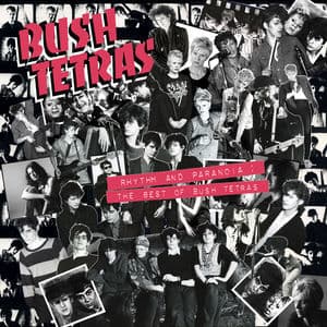 Rhythm and Paranoia: The Best Of Bush Tetras
