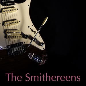 The Smithereens - WXRT FM Broadcast Tinley Park Illinois 10th September 1991 Part Two.