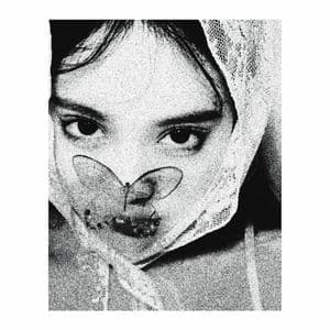 ...and still it flutters