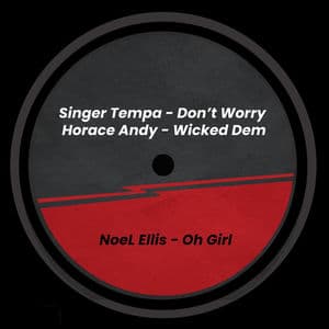 Roots Renegade Records 011