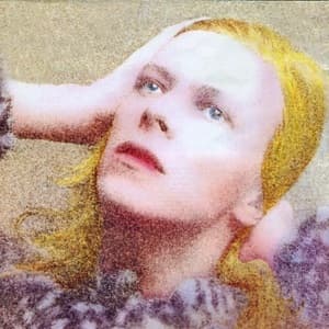 Hunky Dory