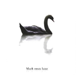 A Long Way From Home