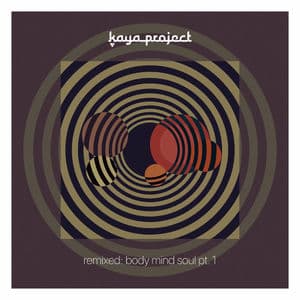 Remixed: Body Mind Soul