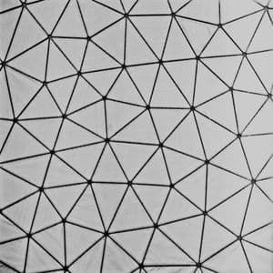 The Dystopian Episodes