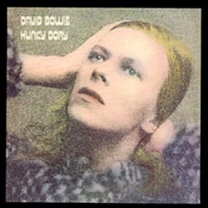 Hunky Dory