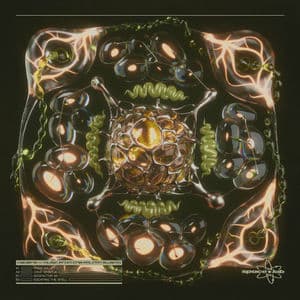 Music From The Fourth Swamp