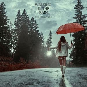 Walking In The Rain