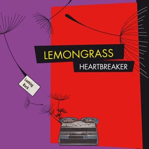 Heartbreaker (Remixed)