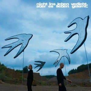 nicht ins leben verliebt, aber es lieben gelernt.