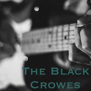 The Black Crowes featuring Jimmy Page - Westwood 1 FM Broadcast Star Lake Amphitheater Pittsburg PA 28th June 2000 Part Two.