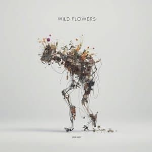 Wild Flowers