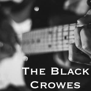 The Black Crowes - WGIR FM Broadcast The Greek Theater Los Angeles 15th June 1991 Part One.