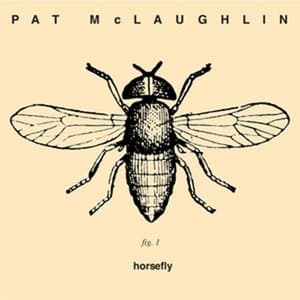Horsefly