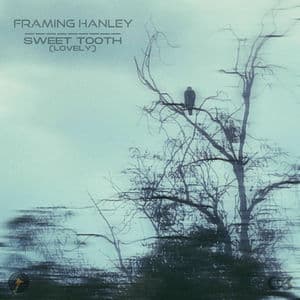 Sweet Tooth (Lovely)