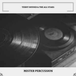 Mister Percussion