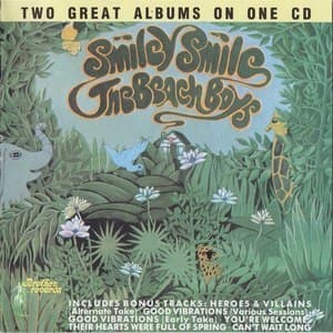 Smiley Smile / Wild Honey